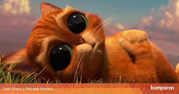 5 Film  tentang  Kucing yang Lucu nan Menggemaskan 